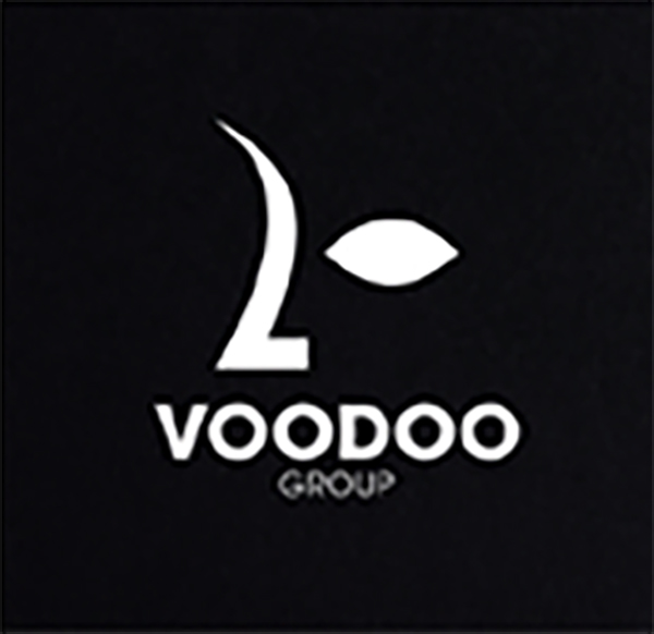 Partenaire Groupe Viking SARL — référence entreprise Côte d'Ivoire