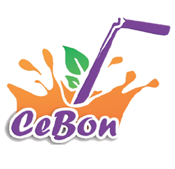 Partenaire Groupe Viking SARL — référence entreprise Côte d'Ivoire