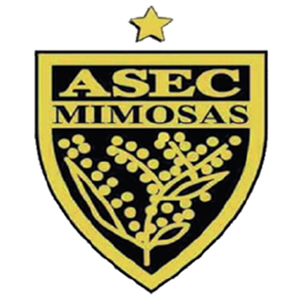 Partenaire Groupe Viking SARL — référence entreprise Côte d'Ivoire